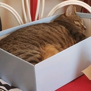 Meet your Posher, Leslie